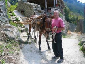 Insel Ischia. Waldarbeiter
