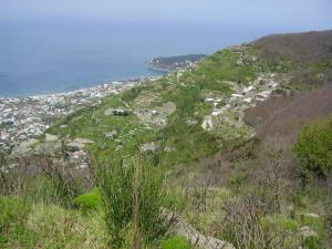 Insel Ischia. Landschaft