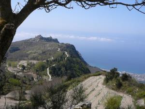 Insel Ischia. Landschaft