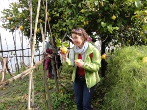 Insel Ischia. Wanderer