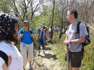 Insel Ischia. Wandergruppe