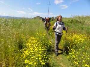 Insel Ischia. Wandergruppe
