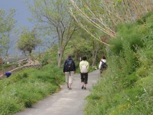 Insel Ischia. Wandergruppe