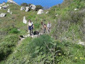 Insel Ischia. Wandergruppe