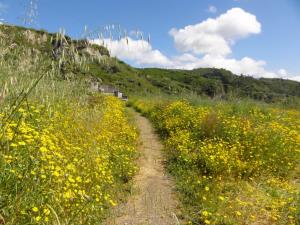 Insel Ischia. Wanderweg