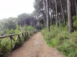 Insel Ischia. Wanderweg