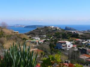 Ischia. Landschaft