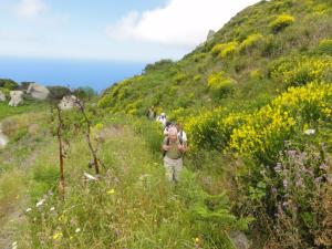 Insel Ischia. GEO-Wanderung