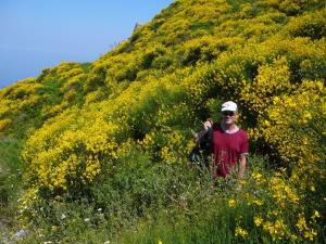 Insel Ischia. Wanderung zu den Epomeo Berggipfel