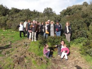 Insel Ischia. Minibustour